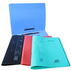 Spring Files – Assorted Colours